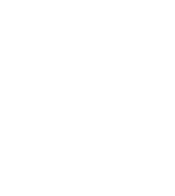 Defect Reporting