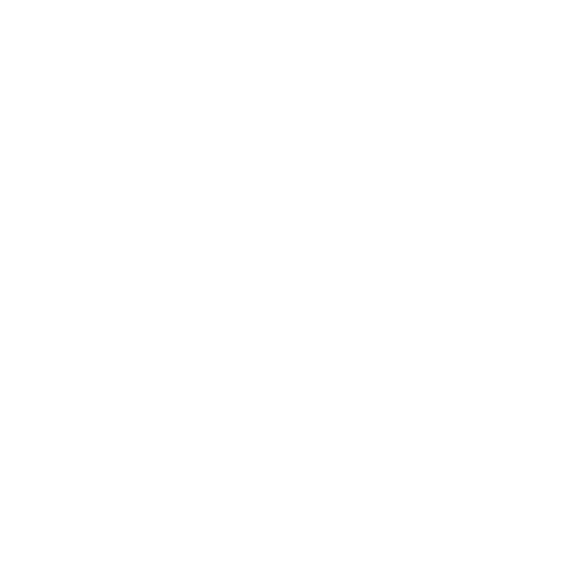  Wiki Module 
